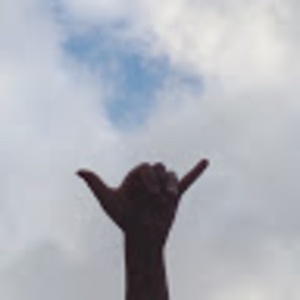 Meet your Posher, Abigail